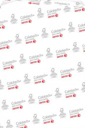 Бумага Xerox Colotech+ Silk Coated, матовая, A4 (210 x 297 мм), 280 г/кв.м (250 листов)
