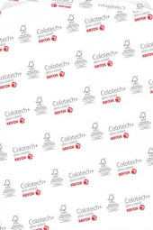 Бумага Xerox Colotech+ Silk Coated, матовая, SRA3 (320 x 450 мм), 140 г/кв.м (400 листов)