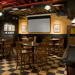 Экран Draper Targa, 1:1, 272