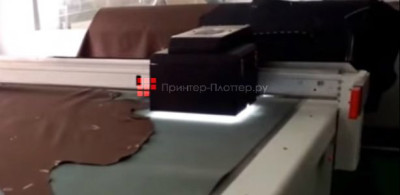 iECHO сканер кожи Leather Scan System