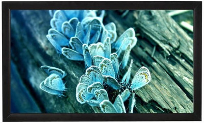 Экран ViewScreen Omega OMG-16905, 16:9, 161