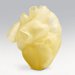 3D-принтер Stratasys J750 Digital Anatomy