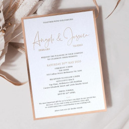 Фольгиратор Amydor AMD360C