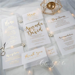 Фольгиратор Amydor AMD360C