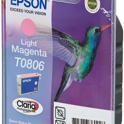 Картридж Epson T0806 Security Version (light magenta)