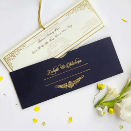 Фольгиратор Amydor AMD360D