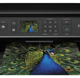 МФУ Epson Stylus SX535WD