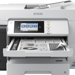 МФУ Epson M15180