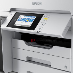 МФУ Epson M15180