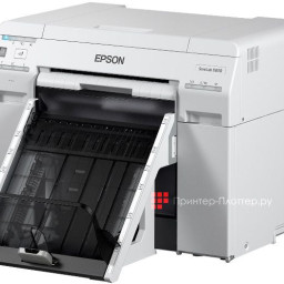 Минифотолаборатория Epson Surelab SL-D800 ML