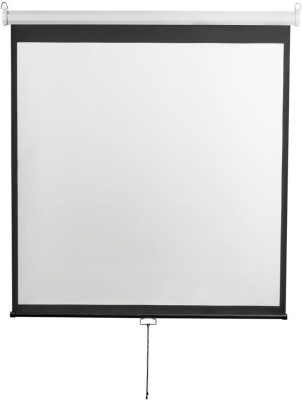 Экран DiGiS Optimal-D DSOD-1108 1:1, 167