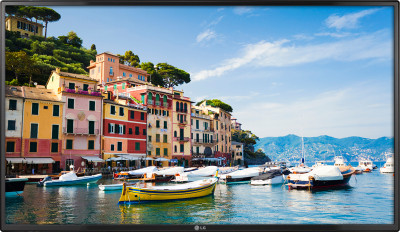 ЖК-панель LG 60WL30MS