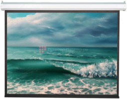 Экран ViewScreen Antis EAN-4303, 4:3, 250