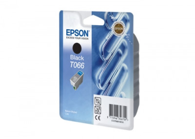 Картридж Epson T066 (black)