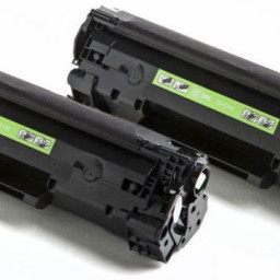 Картридж лазерный Cactus CS-C725D черный x2упак. (1600стр.) для Canon LBP i-Sensys 6000/6000b