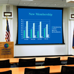 Экран Draper Ultimate Access/V, 16:9, 133