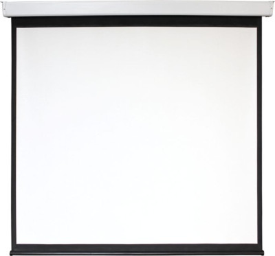 Экран DiGiS Electra-F DSEF-4306 4:3, 180