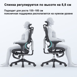 Эргономичное кресло Sihoo M90B (черный)