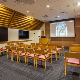 Экран Draper Ultimate Access/V, 16:10, 137