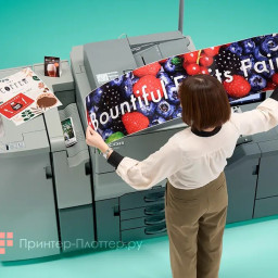 Цифровая печатная машина Ricoh Pro C5410S (базовый блок)