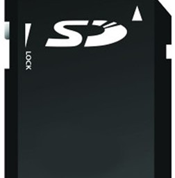 Ricoh SD-карта для печати в системе Netware Print Card Type N