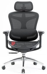 Эргономичное кресло Sihoo Doro C300 (черный)
