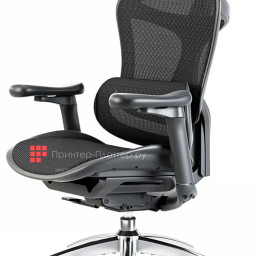 Эргономичное кресло Sihoo Doro C300 (черный)