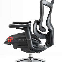 Эргономичное кресло Sihoo Doro C300 (черный)