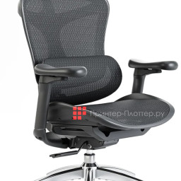 Эргономичное кресло Sihoo Doro C300 (черный)