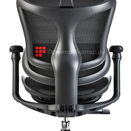 Эргономичное кресло Sihoo Doro C300 (черный)