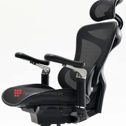 Эргономичное кресло Sihoo Doro C300 (черный)