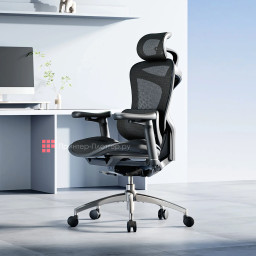 Эргономичное кресло Sihoo Doro C300 (черный)