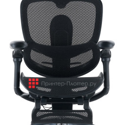 Эргономичное кресло Sihoo Doro C300 Pro V2 (черный)
