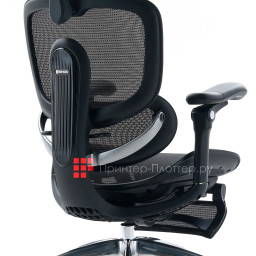 Эргономичное кресло Sihoo Doro C300 Pro V2 (черный)