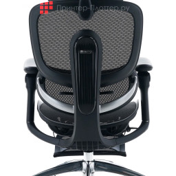 Эргономичное кресло Sihoo Doro C300 Pro V2 (черный)