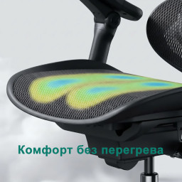 Эргономичное кресло Sihoo Doro C300 Pro V2 (черный)
