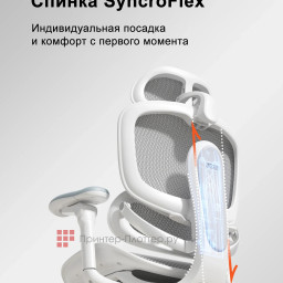 Эргономичное кресло Sihoo Doro C300 Pro V2 (черный)