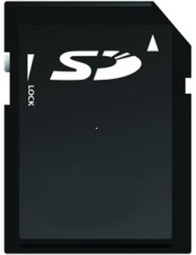 Ricoh SD-карта для хранения данных Data Storage Card Type A