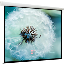 Экран ViewScreen Breston EBR-1107, 1:1, 148