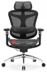 Эргономичное кресло Sihoo Doro C300 Pro (черный)