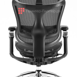 Эргономичное кресло Sihoo Doro C300 Pro (черный)