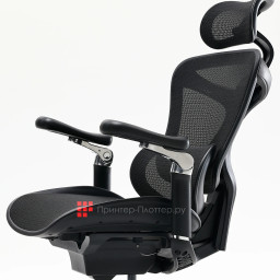 Эргономичное кресло Sihoo Doro C300 Pro (черный)