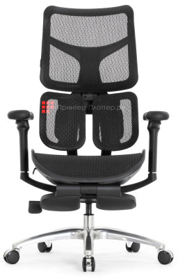 Эргономичное кресло Sihoo Doro S100 (черный)