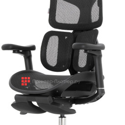 Эргономичное кресло Sihoo Doro S100 (черный)