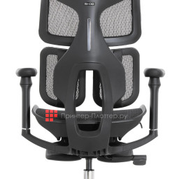 Эргономичное кресло Sihoo Doro S100 (черный)