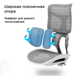 Эргономичное кресло Sihoo Doro S100 (черный)