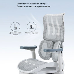 Эргономичное кресло Sihoo Doro S100 (черный)