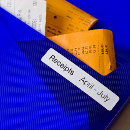 Brother наклейки для файлов, 17 х 87 мм, 300 шт.