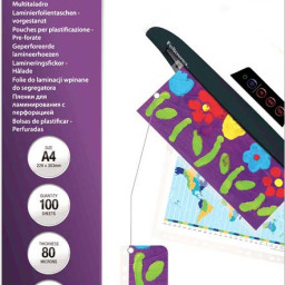 Пленка для ламинирования пакетная Fellowes, 228 х 303 мм, 80 мкм, глянцевая, 100 шт.