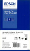 Бумага Epson SureLab Pro Paper Glossy, 250 г/кв.м, 203 мм x 100 м (2 рулона)